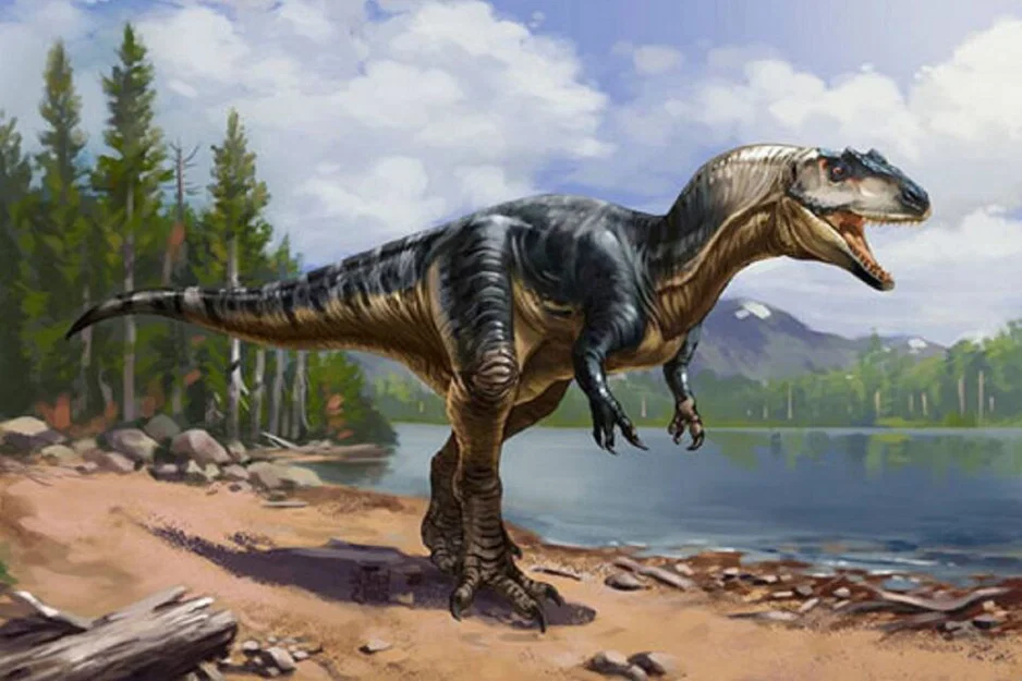 Mô hình 3D Albertosaurus sắc nét cho người đam mê khủng long - Image 1
