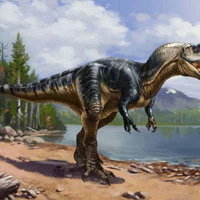 Mô hình 3D Albertosaurus sắc nét cho người đam mê khủng long