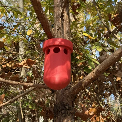 Bẫy Ong Bắp Cày & Ong Vàng – Bả Axit Boric & Nước Ép – Bẫy Có Nắp Vặn Tái Sử Dụng