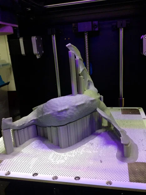 Móc treo áo hình Rồng (Cubicle Coat Hanger) - Image 4