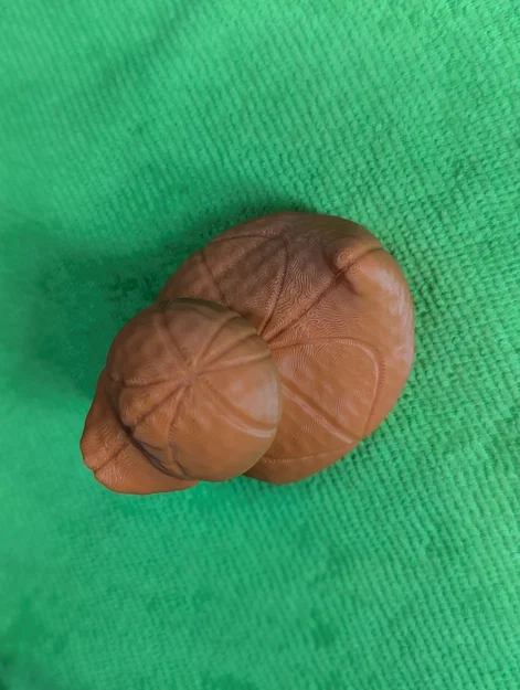 Mô hình chú vịt bóng rổ UofA Madness Duck độc lạ - Image 3