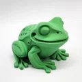 Mô hình Cóc đế phẳng (Flat-bottom Toad) - Thumbnail 1