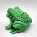 Mô hình Cóc đế phẳng (Flat-bottom Toad) - Thumbnail 3