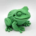 Mô hình Cóc đế phẳng (Flat-bottom Toad) - Thumbnail 5