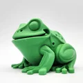 Mô hình Cóc đế phẳng (Flat-bottom Toad) - Thumbnail 7