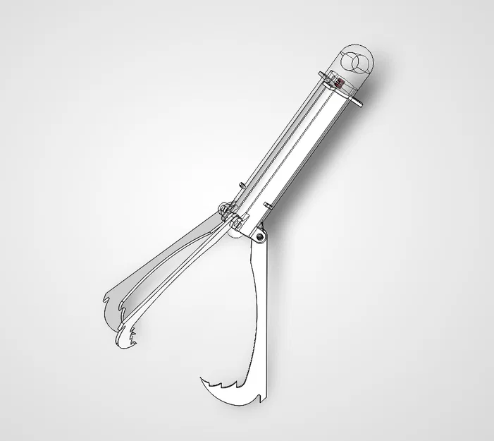 Flying Tiger Claw (Móng Vuốt Hổ Bay) - Image 1