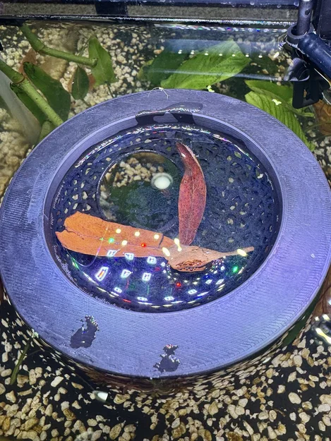 Hang Trú Ẩn Voronoi Lơ Lửng Cho Cá Betta - Image 2