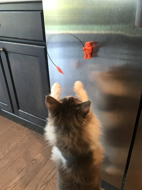 Đồ chơi mèo "Câu Cá" (Cat "Fish" Toy) - Image 6