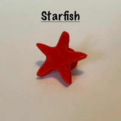 Bộ Sưu Tập Charm Chủ Đề Bãi Biển Cho Dép Crocs