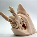 Chuyến lặn biển tuyệt nhất từ trước đến nay! - Thumbnail 3