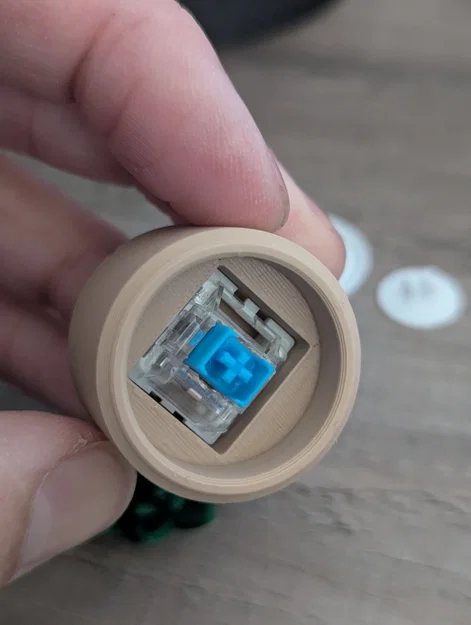 Đồ chơi Fidget Cây Sen Đá Mini Clicky - Image 2