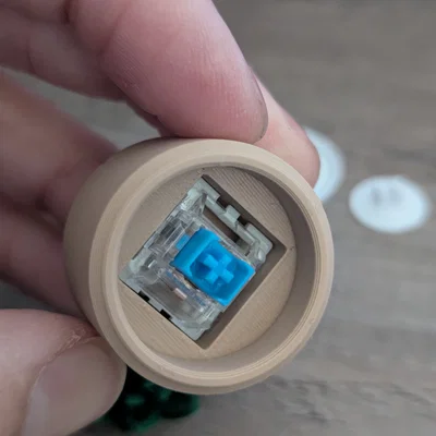 Đồ chơi Fidget Cây Sen Đá Mini Clicky