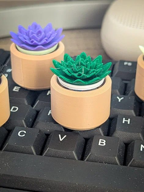 Đồ chơi Fidget Cây Sen Đá Mini Clicky - Image 3