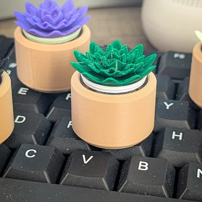 Đồ chơi Fidget Cây Sen Đá Mini Clicky