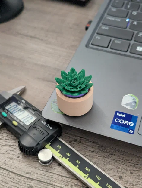 Đồ chơi Fidget Cây Sen Đá Mini Clicky - Image 4