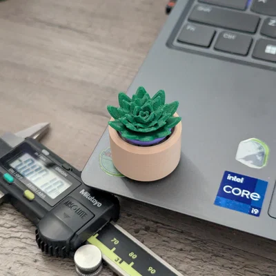 Đồ chơi Fidget Cây Sen Đá Mini Clicky