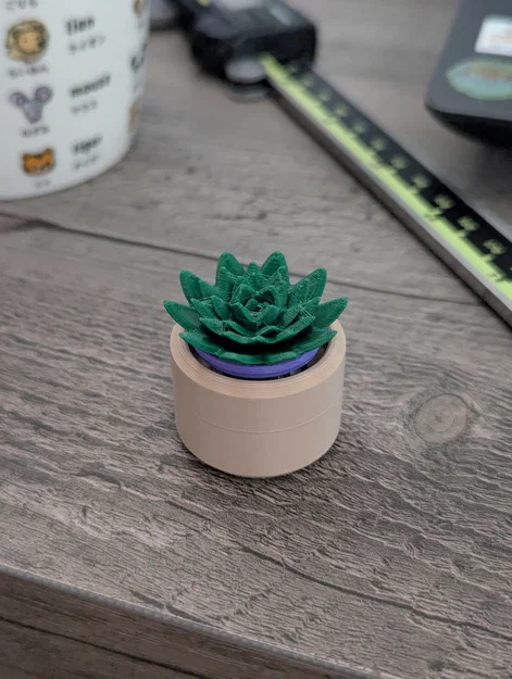 Đồ chơi Fidget Cây Sen Đá Mini Clicky - Image 5