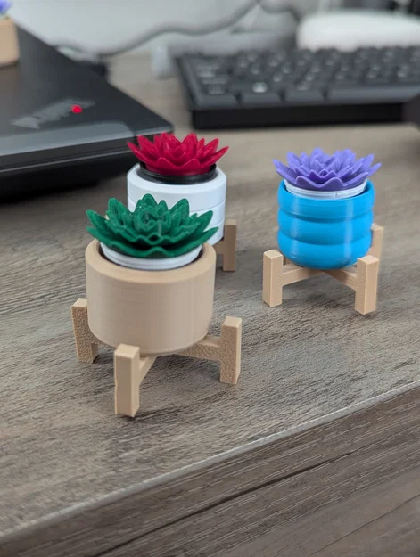 Đồ chơi Fidget Cây Sen Đá Mini Clicky - Image 6