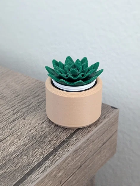 Đồ chơi Fidget Cây Sen Đá Mini Clicky - Image 7