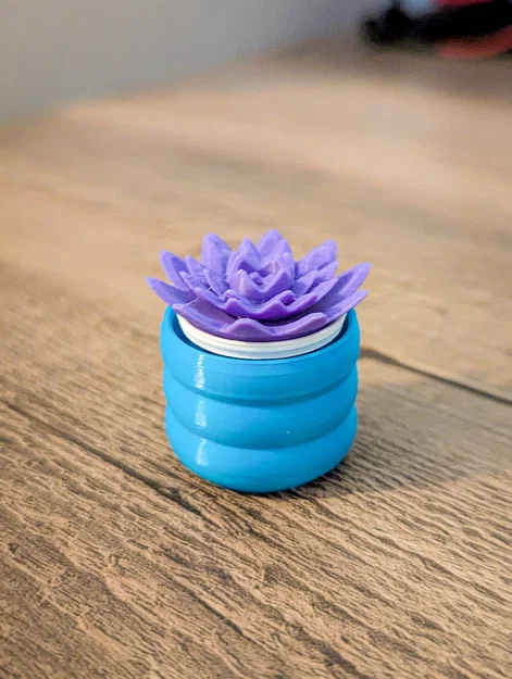 Đồ chơi Fidget Cây Sen Đá Mini Clicky - Image 8