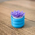 Đồ chơi Fidget Cây Sen Đá Mini Clicky - Thumbnail 8