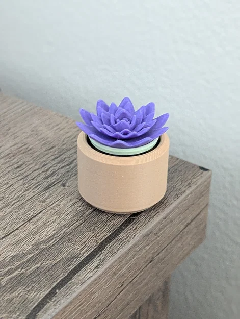 Đồ chơi Fidget Cây Sen Đá Mini Clicky - Image 9