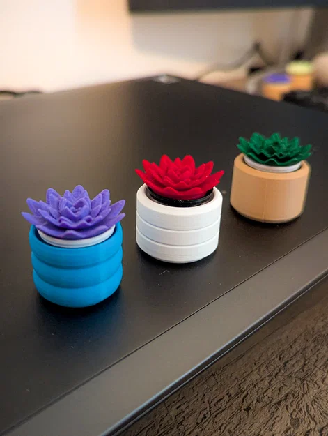 Đồ chơi Fidget Cây Sen Đá Mini Clicky - Image 10