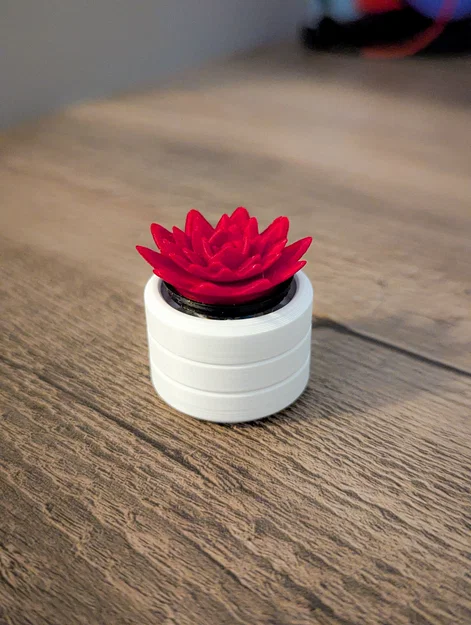 Đồ chơi Fidget Cây Sen Đá Mini Clicky - Image 11