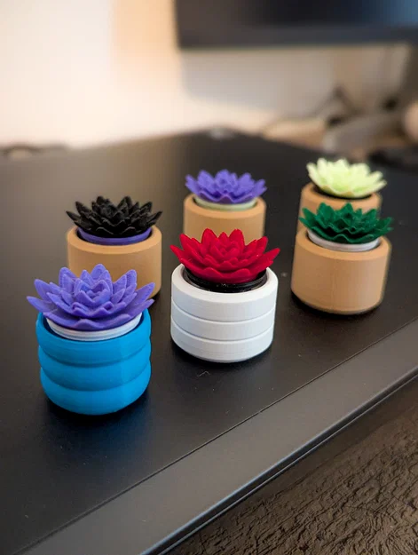 Đồ chơi Fidget Cây Sen Đá Mini Clicky - Image 12