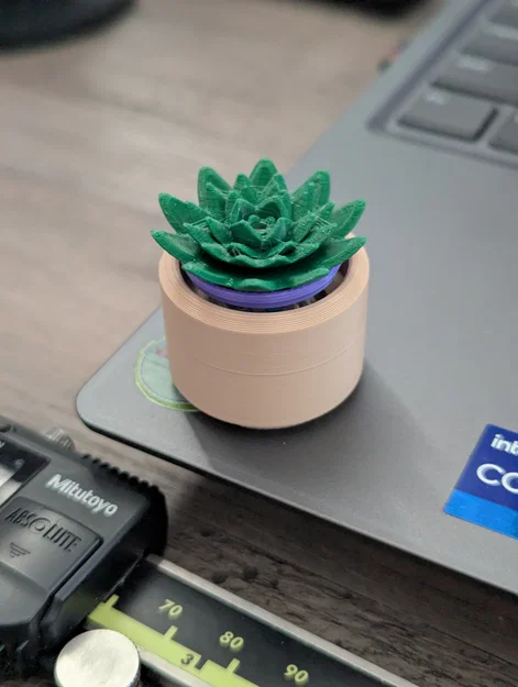 Đồ chơi Fidget Cây Sen Đá Mini Clicky - Image 13