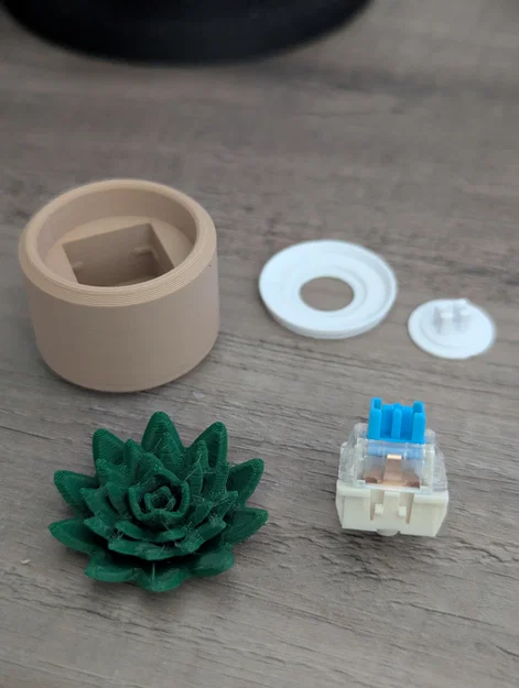 Đồ chơi Fidget Cây Sen Đá Mini Clicky - Image 14