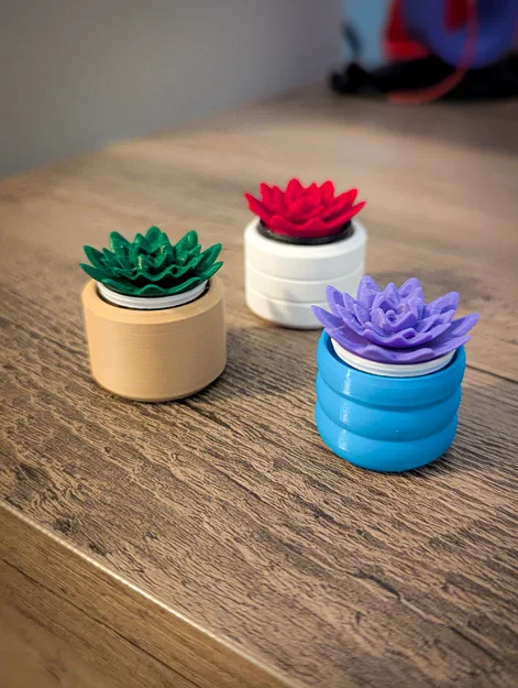 Đồ chơi Fidget Cây Sen Đá Mini Clicky - Image 15