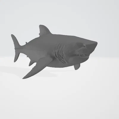 Mô hình 3D Cá Mập Trắng (Great White Shark) sắc nét, chân thực