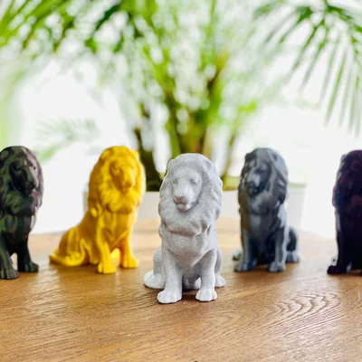 Tượng Sư Tử (Độ phân giải cao)