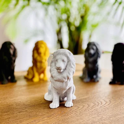 Tượng Sư Tử (Độ phân giải cao)