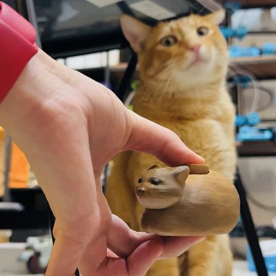 Mô hình Mèo xoay OIIA Cat meme