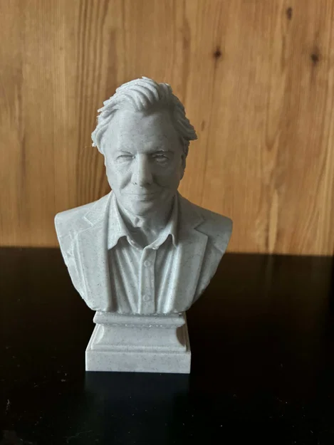 Mô hình in 3D: Tượng bán thân David Frederick Attenborough - Image 2