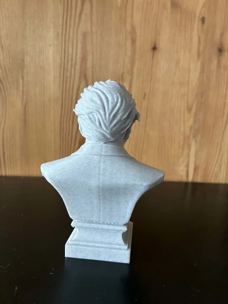 Mô hình in 3D: Tượng bán thân David Frederick Attenborough - Image 4