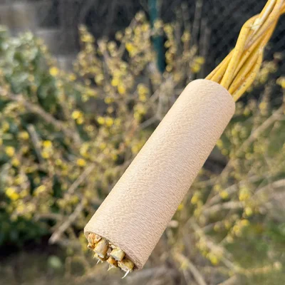 Tay cầm cho roi tết (Rukoväť pre korbáč)