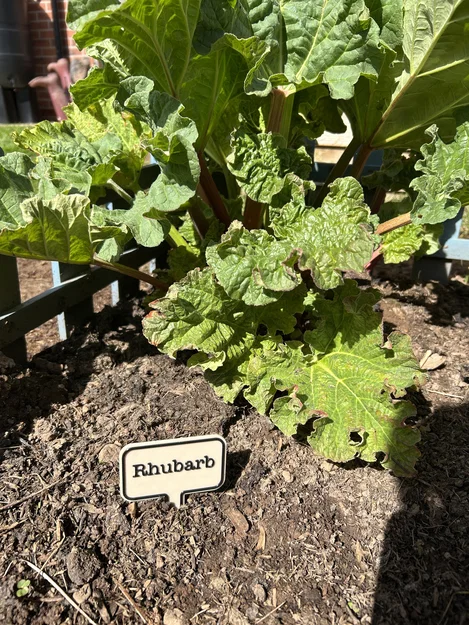 Thẻ cắm chậu cây (có thể tùy chỉnh) - Image 3