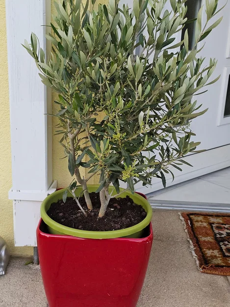 Kẹp cố định chậu cây (Flower pot anchor) - Image 2