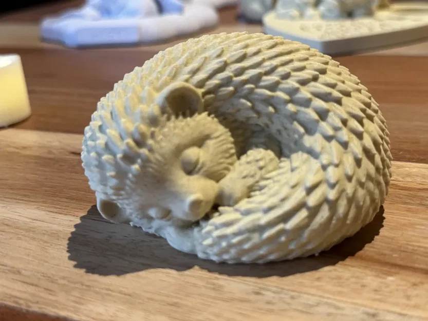 Chú Nhím Đáng Yêu – Tư Thế Ngủ Cuộn Tròn Ấm Áp - Image 2