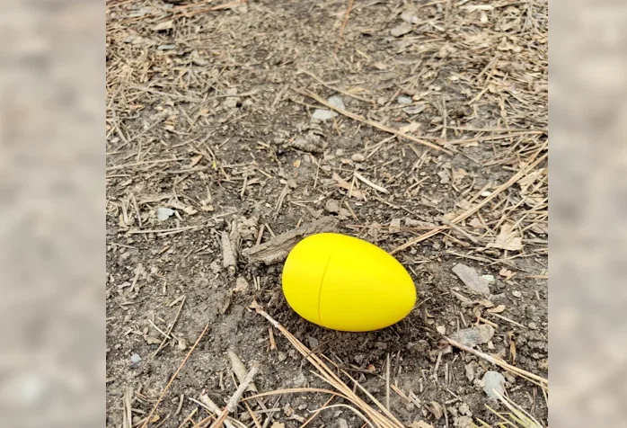 Mô hình quả trứng in 3D chơi khăm cực độc đáo - Image 1