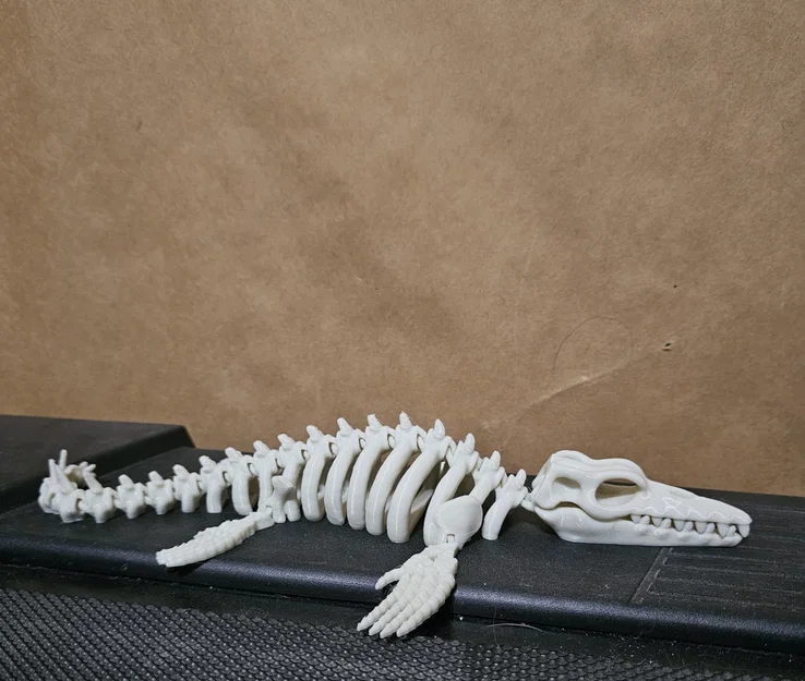 Mô hình bộ xương Mosasaurus cử động linh hoạt in 3D - Image 1