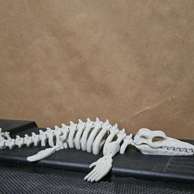 Mô hình bộ xương Mosasaurus cử động linh hoạt in 3D