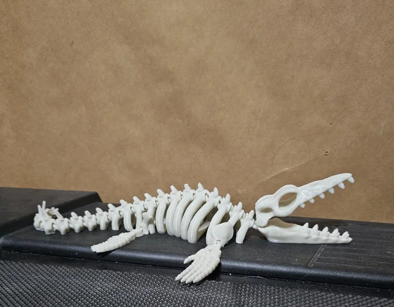 Mô hình bộ xương Mosasaurus cử động linh hoạt in 3D - Image 2