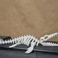 Mô hình bộ xương Mosasaurus cử động linh hoạt in 3D - Thumbnail 2