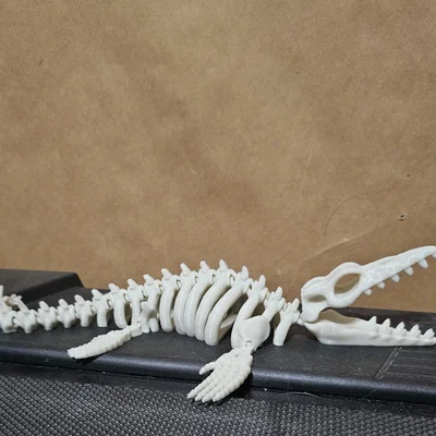 Mô hình bộ xương Mosasaurus cử động linh hoạt in 3D