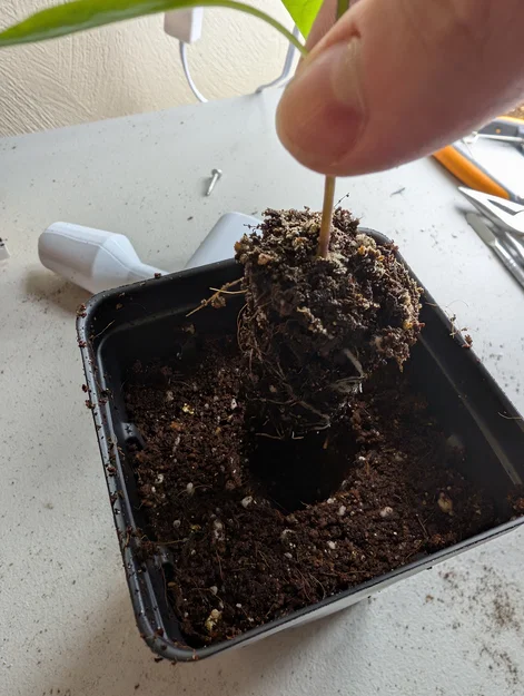 Dụng cụ tạo lỗ trồng cây (Dibbler) cho khay 98 cell 1020 - Image 3