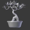 Mô hình cây Bonsai 3D kèm chậu - Tự tay tô màu trang trí - Thumbnail 4